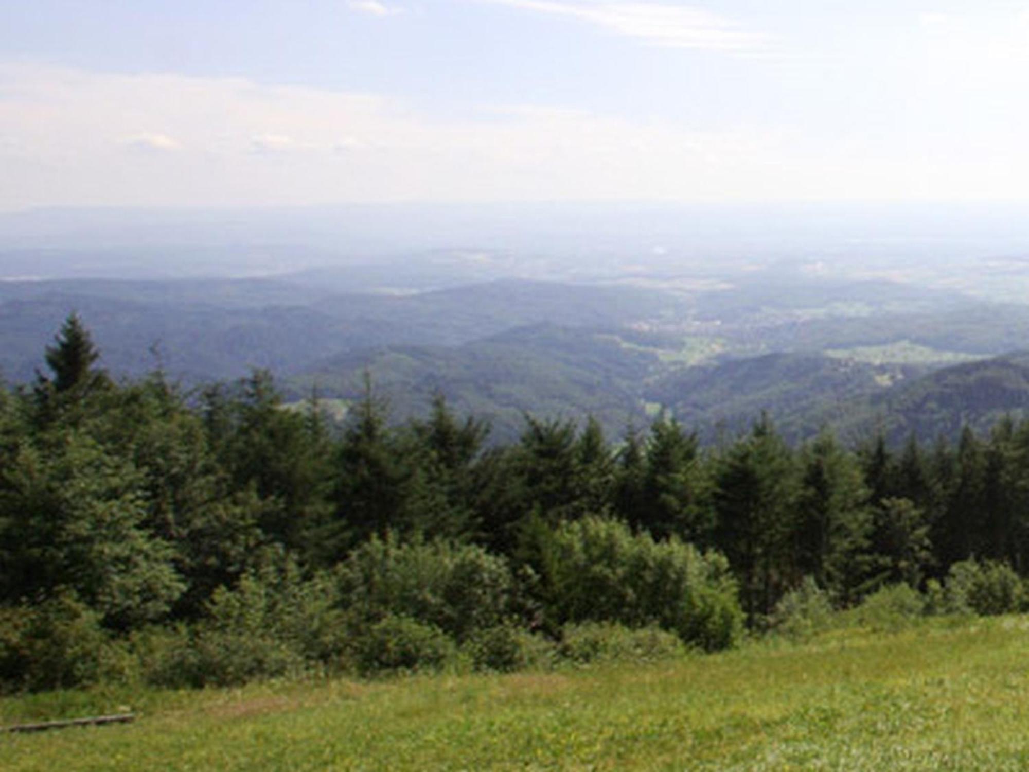 Haus Burgblick Apartman Badenweiler Kültér fotó